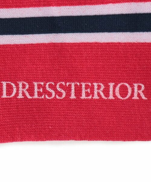 DRESSTERIOR / ドレステリア ソックス | D刺繍 ラインソックス | 詳細3