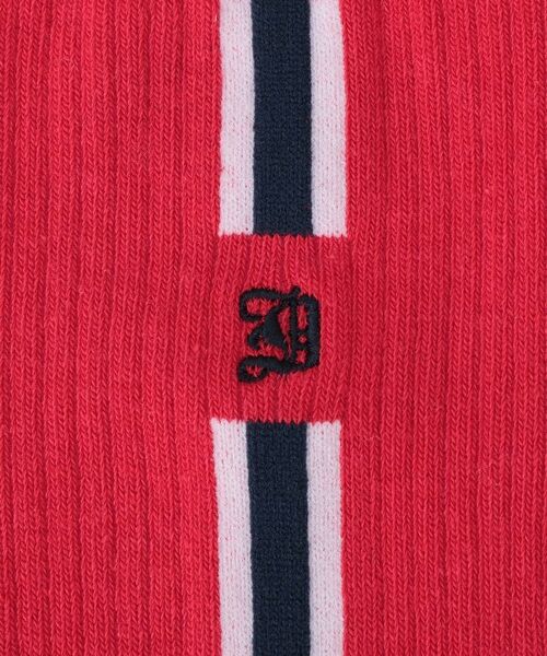 DRESSTERIOR / ドレステリア ソックス | D刺繍 ラインソックス | 詳細4