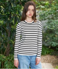 DRESSTERIOR / ドレステリア ニット・セーター | ストレッチフルニードルボーダーニット