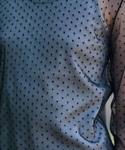 DRESSTERIOR / ドレステリア カットソー | 【洗える/シアー素材】シアードットベルスリーブカットソー | 詳細13