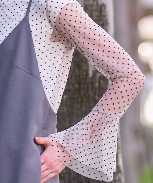 DRESSTERIOR / ドレステリア カットソー | 【洗える/シアー素材】シアードットベルスリーブカットソー | 詳細19