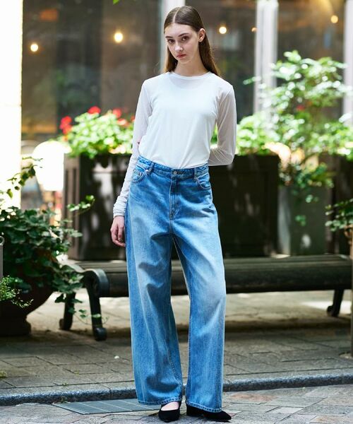 DRESSTERIOR / ドレステリア カットソー | 【洗える/リブベロア】シアーリブベロアカットソー | 詳細1