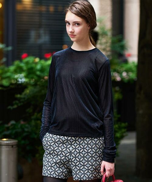 DRESSTERIOR / ドレステリア カットソー | 【洗える/リブベロア】シアーリブベロアカットソー | 詳細13