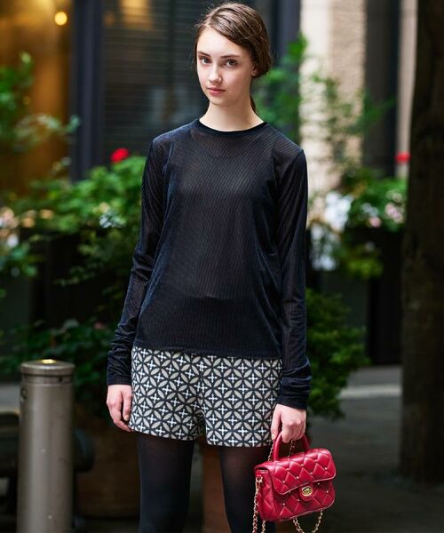 DRESSTERIOR / ドレステリア カットソー | 【洗える/リブベロア】シアーリブベロアカットソー | 詳細16