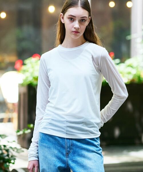 DRESSTERIOR / ドレステリア カットソー | 【洗える/リブベロア】シアーリブベロアカットソー | 詳細3