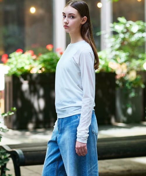 DRESSTERIOR / ドレステリア カットソー | 【洗える/リブベロア】シアーリブベロアカットソー | 詳細6