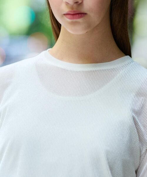DRESSTERIOR / ドレステリア カットソー | 【洗える/リブベロア】シアーリブベロアカットソー | 詳細8