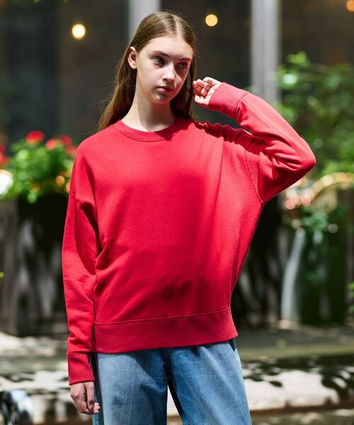 DRESSTERIOR / ドレステリア スウェット | コットン裏毛プルオーバー | 詳細10