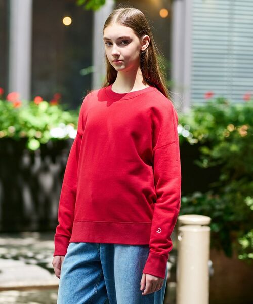 DRESSTERIOR / ドレステリア スウェット | コットン裏毛プルオーバー | 詳細11