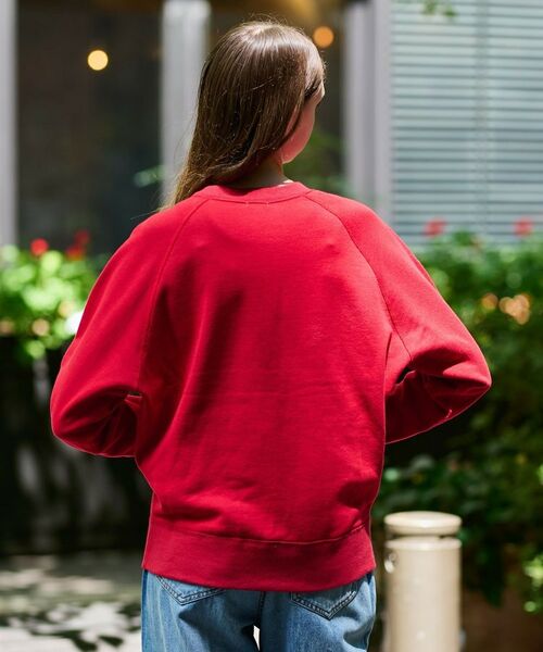 DRESSTERIOR / ドレステリア スウェット | コットン裏毛プルオーバー | 詳細12