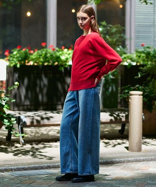 DRESSTERIOR / ドレステリア スウェット | コットン裏毛プルオーバー | 詳細13