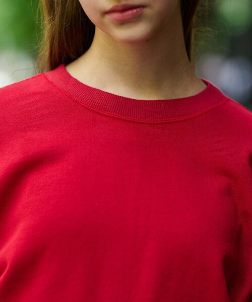 DRESSTERIOR / ドレステリア スウェット | コットン裏毛プルオーバー | 詳細14