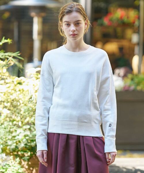 DRESSTERIOR / ドレステリア スウェット | コットン裏毛プルオーバー | 詳細2