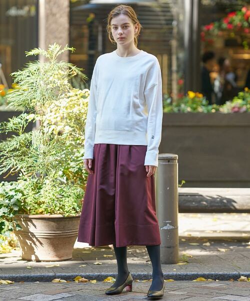 DRESSTERIOR / ドレステリア スウェット | コットン裏毛プルオーバー | 詳細3