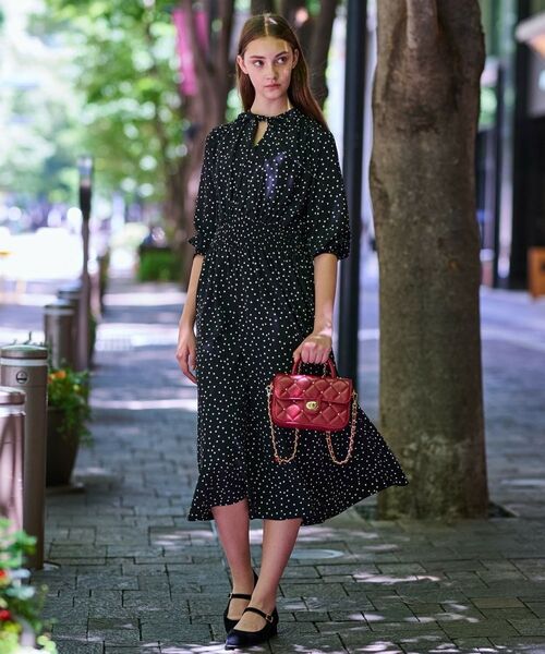 DRESSTERIOR / ドレステリア ロング・マキシ丈ワンピース | 【手洗い可】ウエストシャーリングドットワンピース | 詳細1