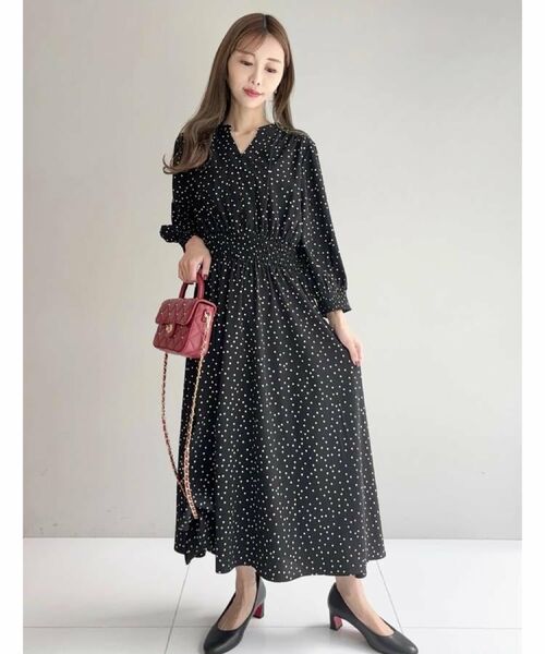 DRESSTERIOR / ドレステリア ロング・マキシ丈ワンピース | 【手洗い可】ウエストシャーリングドットワンピース | 詳細12
