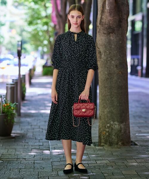 DRESSTERIOR / ドレステリア ロング・マキシ丈ワンピース | 【手洗い可】ウエストシャーリングドットワンピース | 詳細2