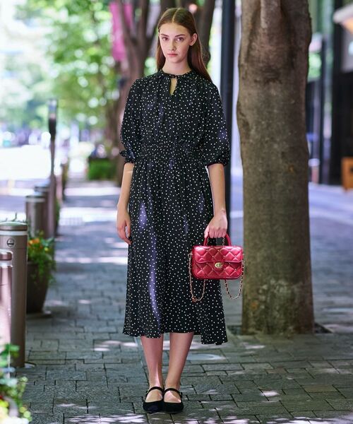 DRESSTERIOR / ドレステリア ロング・マキシ丈ワンピース | 【手洗い可】ウエストシャーリングドットワンピース | 詳細3