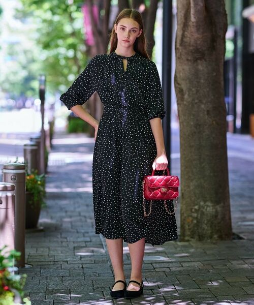 DRESSTERIOR / ドレステリア ロング・マキシ丈ワンピース | 【手洗い可】ウエストシャーリングドットワンピース | 詳細4