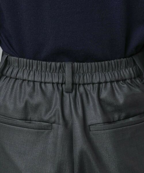 DRESSTERIOR / ドレステリア パンツ | ラスターツイルワイドカーゴパンツ | 詳細13