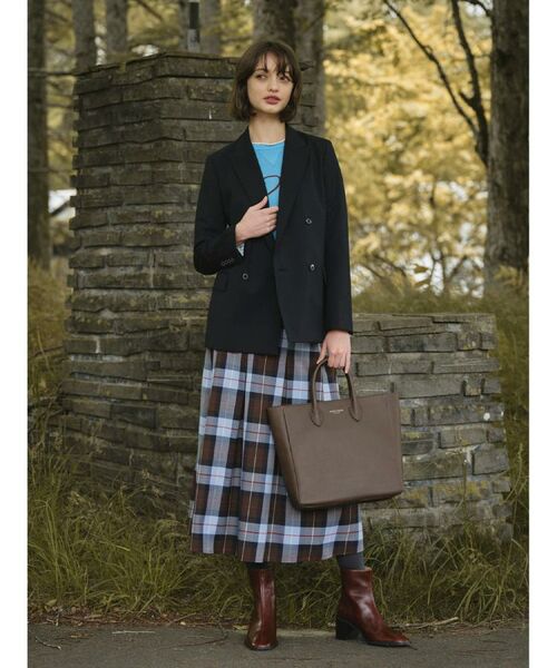 DRESSTERIOR / ドレステリア ロング・マキシ丈スカート | チェックタックソフトプリーツスカート | 詳細1