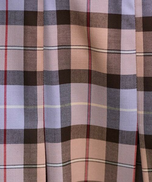 DRESSTERIOR / ドレステリア ロング・マキシ丈スカート | チェックタックソフトプリーツスカート | 詳細10