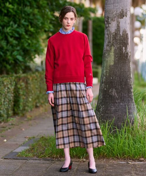 DRESSTERIOR / ドレステリア ロング・マキシ丈スカート | チェックタックソフトプリーツスカート | 詳細9