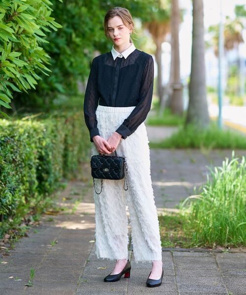 DRESSTERIOR / ドレステリア シャツ・ブラウス | 【洗える/シアー素材】フィルムドットクレリックブラウス | 詳細1