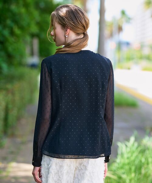 DRESSTERIOR / ドレステリア シャツ・ブラウス | 【洗える/シアー素材】フィルムドットクレリックブラウス | 詳細10