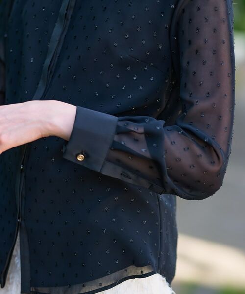 DRESSTERIOR / ドレステリア シャツ・ブラウス | 【洗える/シアー素材】フィルムドットクレリックブラウス | 詳細13