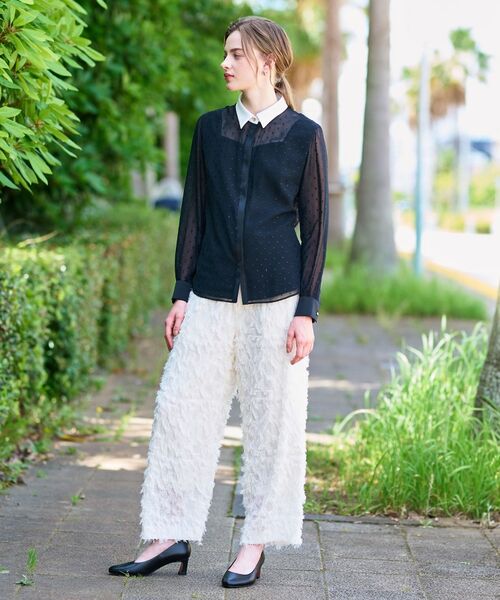 DRESSTERIOR / ドレステリア シャツ・ブラウス | 【洗える/シアー素材】フィルムドットクレリックブラウス | 詳細2