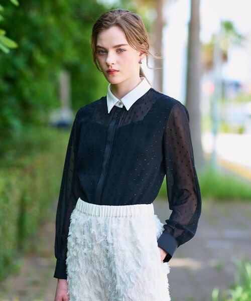 DRESSTERIOR / ドレステリア シャツ・ブラウス | 【洗える/シアー素材】フィルムドットクレリックブラウス | 詳細4