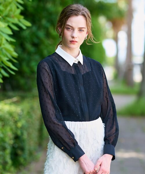 DRESSTERIOR / ドレステリア シャツ・ブラウス | 【洗える/シアー素材】フィルムドットクレリックブラウス | 詳細5