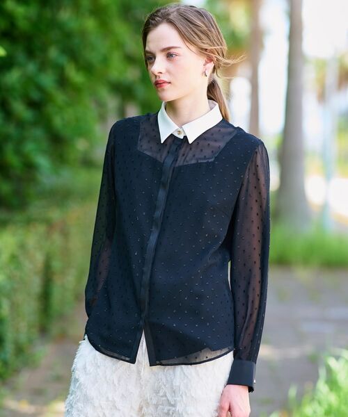 DRESSTERIOR / ドレステリア シャツ・ブラウス | 【洗える/シアー素材】フィルムドットクレリックブラウス | 詳細7