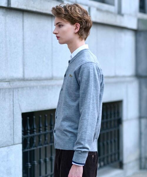 DRESSTERIOR / ドレステリア カーディガン・ボレロ | 【Monomax11月号掲載】タイガーエンブロイダリー ラウンドネックカーディガン | 詳細14