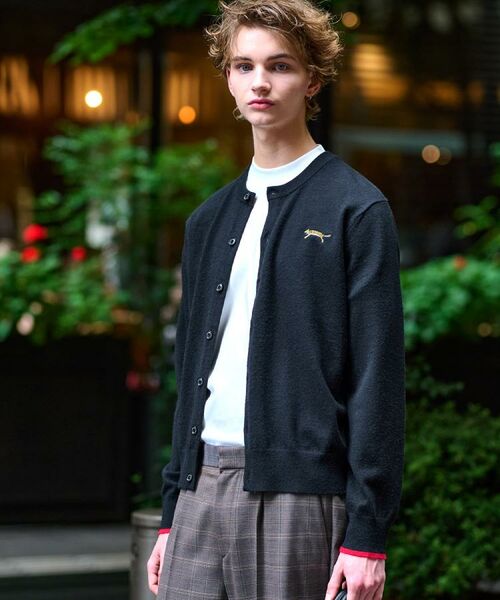 DRESSTERIOR / ドレステリア カーディガン・ボレロ | 【Monomax11月号掲載】タイガーエンブロイダリー ラウンドネックカーディガン | 詳細2