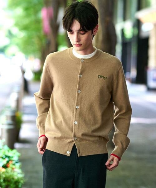 DRESSTERIOR / ドレステリア カーディガン・ボレロ | 【Monomax11月号掲載】タイガーエンブロイダリー ラウンドネックカーディガン | 詳細24