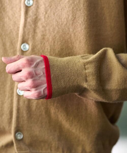 DRESSTERIOR / ドレステリア カーディガン・ボレロ | 【Monomax11月号掲載】タイガーエンブロイダリー ラウンドネックカーディガン | 詳細27