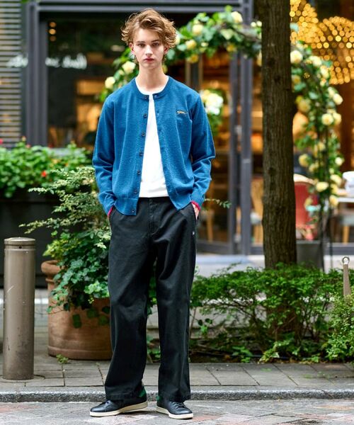 DRESSTERIOR / ドレステリア カーディガン・ボレロ | 【Monomax11月号掲載】タイガーエンブロイダリー ラウンドネックカーディガン | 詳細30