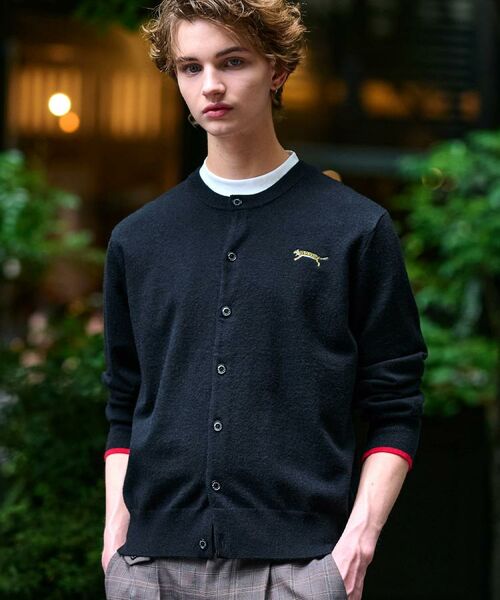 DRESSTERIOR / ドレステリア カーディガン・ボレロ | 【Monomax11月号掲載】タイガーエンブロイダリー ラウンドネックカーディガン | 詳細4