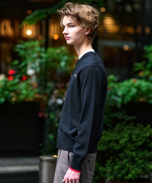 DRESSTERIOR / ドレステリア カーディガン・ボレロ | 【Monomax11月号掲載】タイガーエンブロイダリー ラウンドネックカーディガン | 詳細5