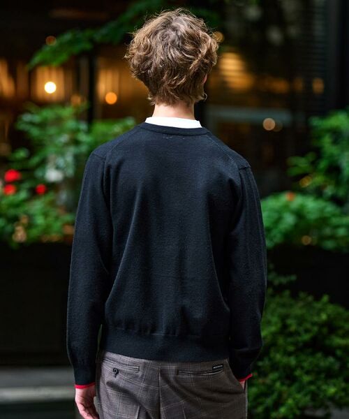 DRESSTERIOR / ドレステリア カーディガン・ボレロ | 【Monomax11月号掲載】タイガーエンブロイダリー ラウンドネックカーディガン | 詳細6