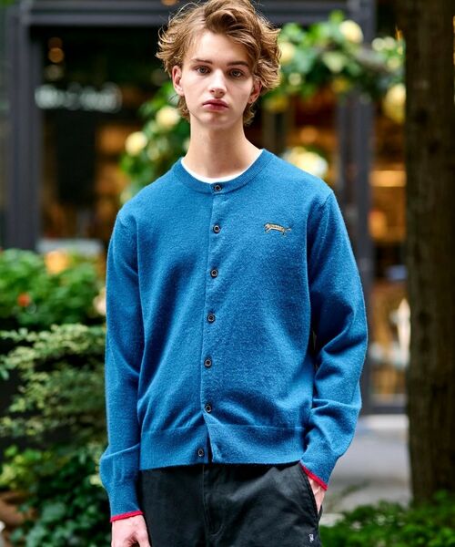 DRESSTERIOR / ドレステリア カーディガン・ボレロ | 【Monomax11月号掲載】タイガーエンブロイダリー ラウンドネックカーディガン(ブルー(093))