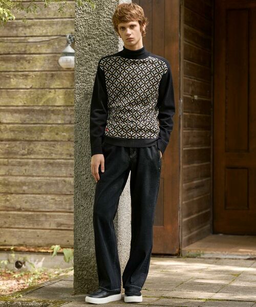 DRESSTERIOR / ドレステリア ニット・セーター | オーバーラップサークルジャカード タートルニット | 詳細1