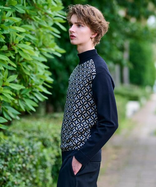 DRESSTERIOR / ドレステリア ニット・セーター | オーバーラップサークルジャカード タートルニット | 詳細7