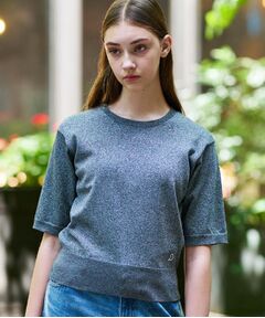 DRESSTERIOR / ドレステリア ニット・セーター | 【洗える/きれいめ】ラメニットプルオーバー