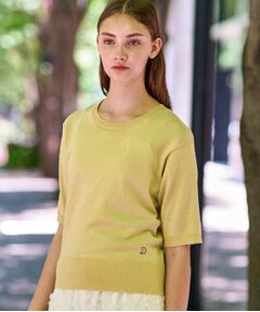 DRESSTERIOR / ドレステリア ニット・セーター | 【洗える/きれいめ】ラメニットプルオーバー