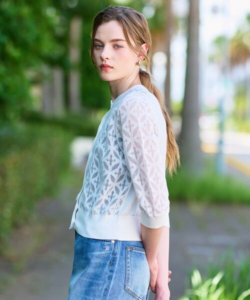 DRESSTERIOR / ドレステリア カーディガン・ボレロ | 【洗える/シアー素材】オーバーラップレースハーフスリーブ | 詳細13