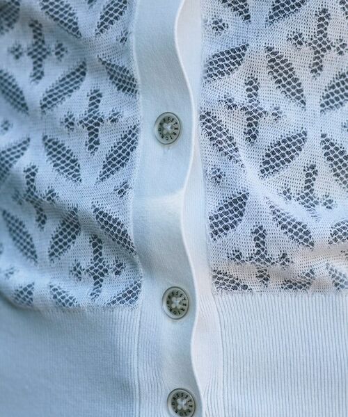 DRESSTERIOR / ドレステリア カーディガン・ボレロ | 【洗える/シアー素材】オーバーラップレースハーフスリーブ | 詳細19