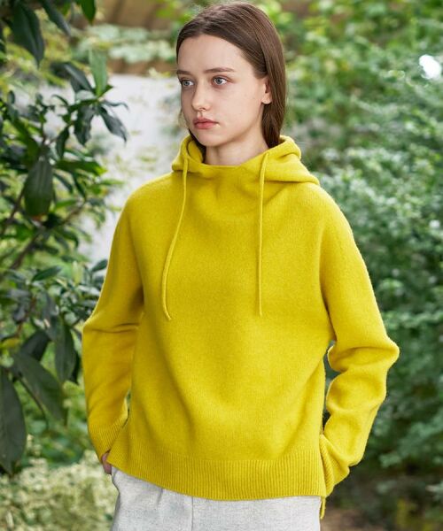 DRESSTERIOR / ドレステリア ニット・セーター | カシミヤブレンドフードニット | 詳細17